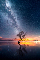 Lake Wanaka, New Zealand - Tree and Milky Way