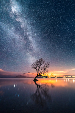 Lake Wanaka, New Zealand - Tree and Milky Way